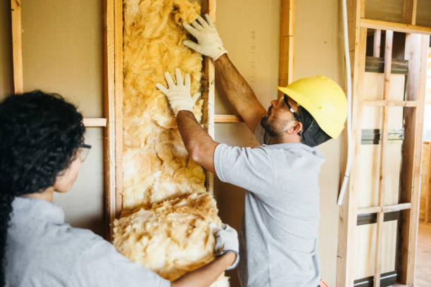 Types of Insulation We Offer in Little Walnut Village, NM